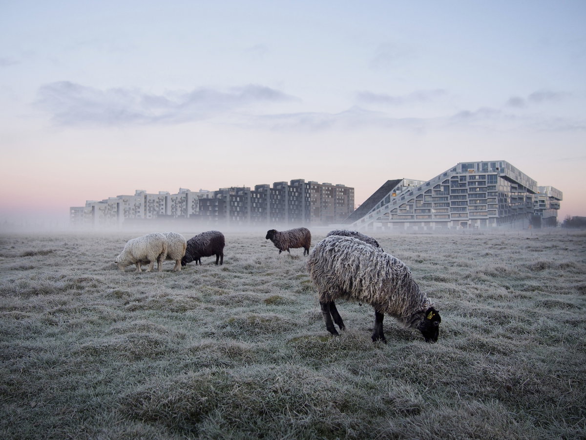8 House image | Bjarke Ingels Group