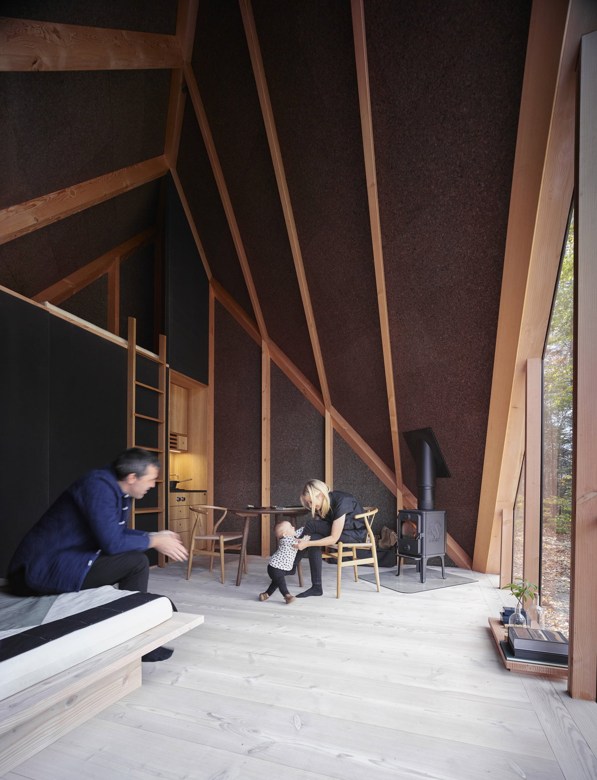 Klein Cabin image | Bjarke Ingels Group