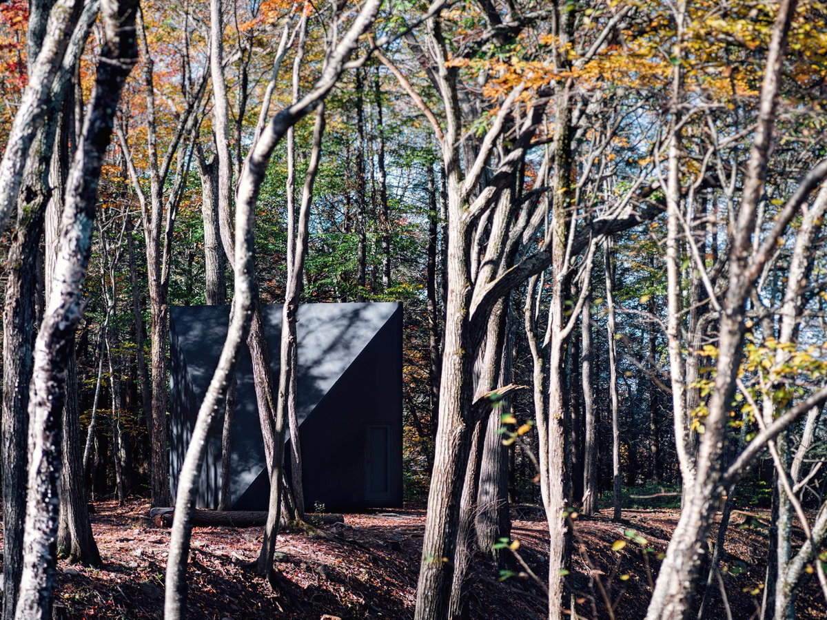 Klein Cabin image | Bjarke Ingels Group