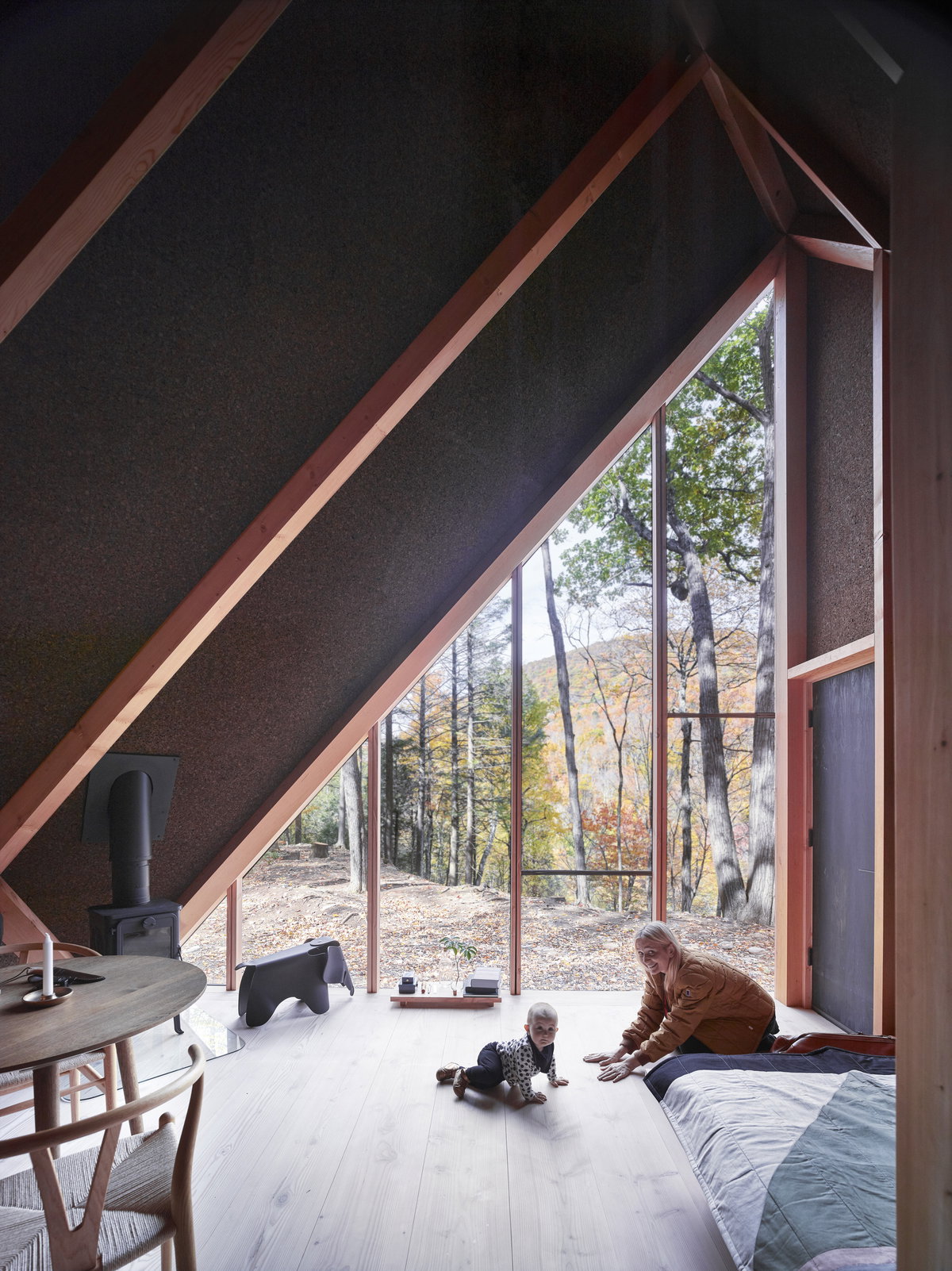 Klein Cabin image | Bjarke Ingels Group