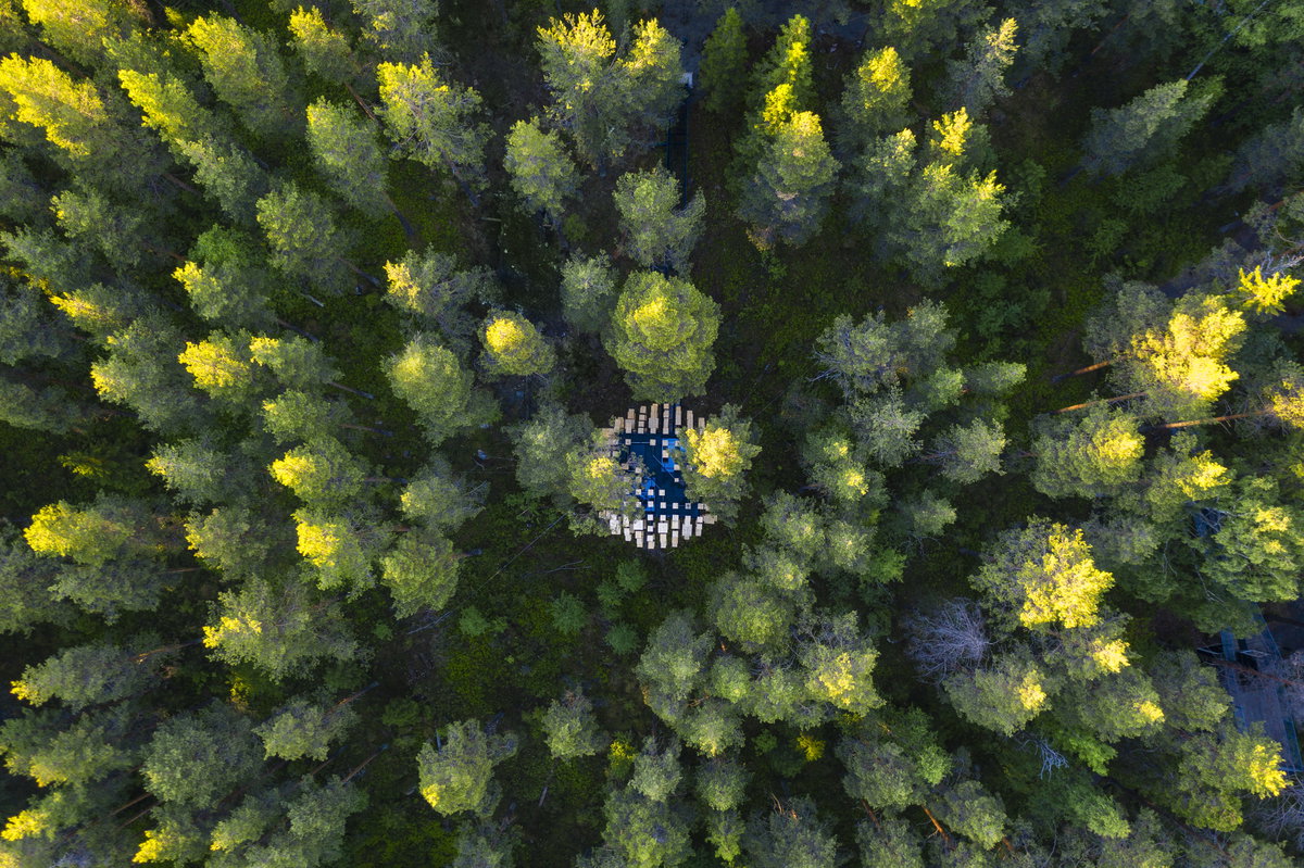 Biosphere image | Bjarke Ingels Group