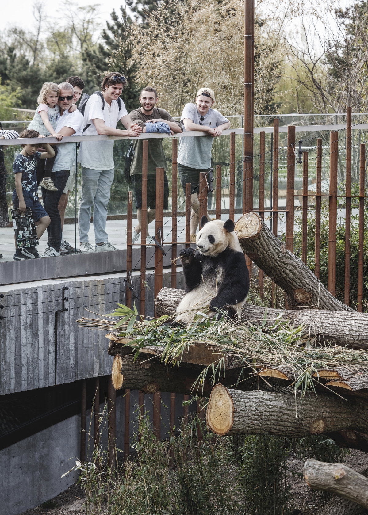 Panda House image | Bjarke Ingels Group