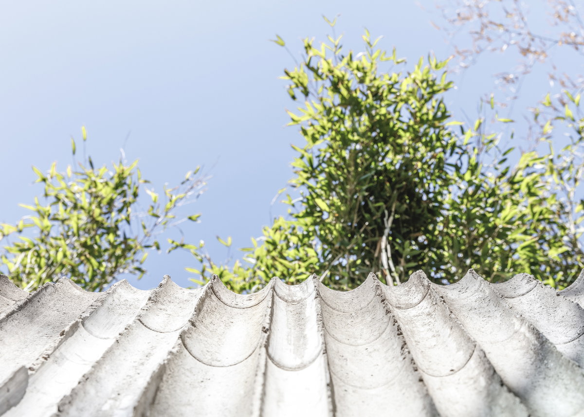 Panda House image | Bjarke Ingels Group