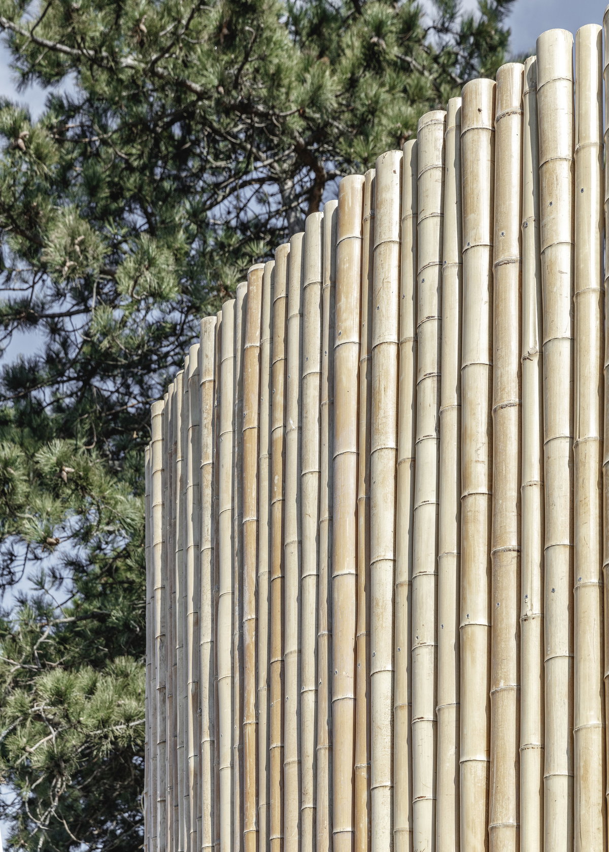 Panda House image | Bjarke Ingels Group