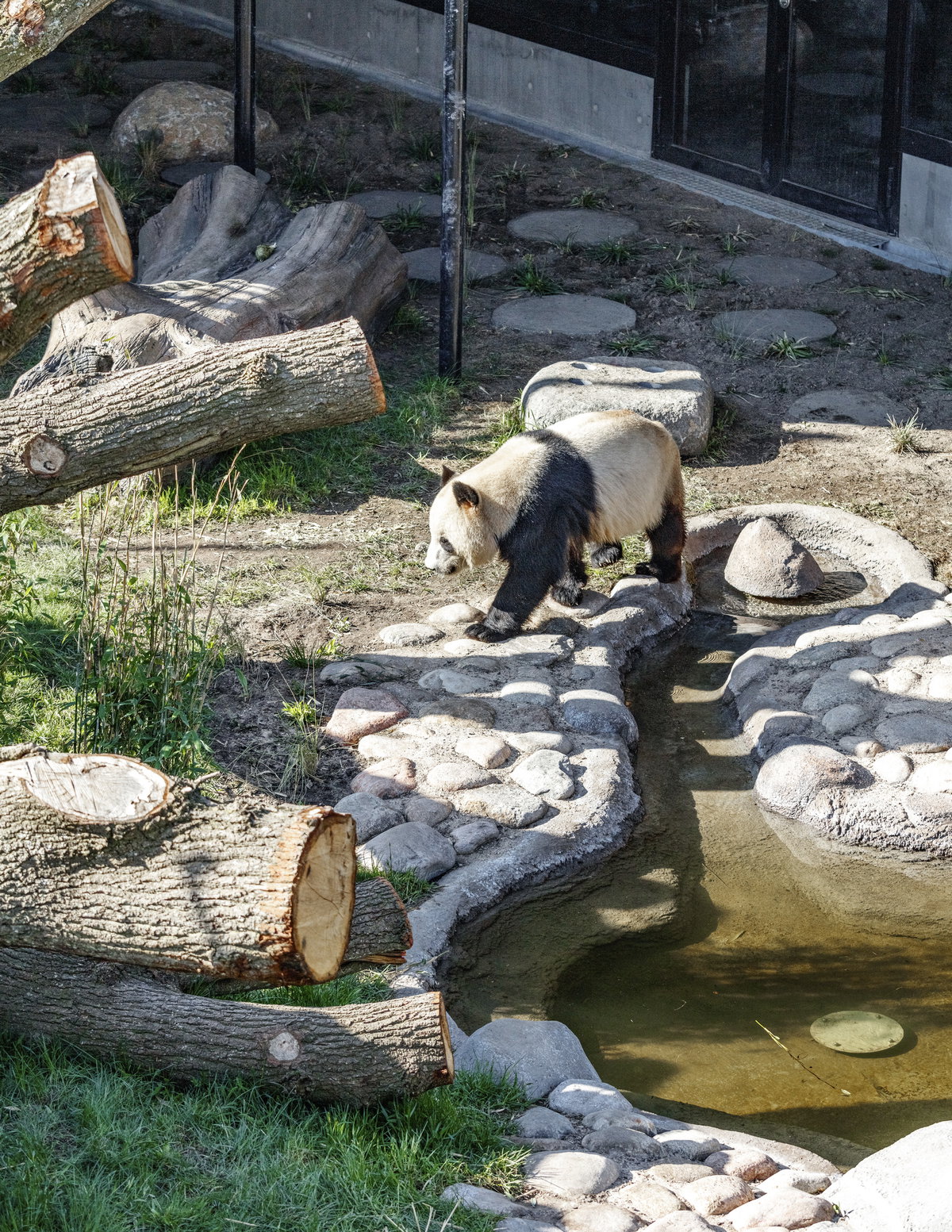 Panda House image | Bjarke Ingels Group
