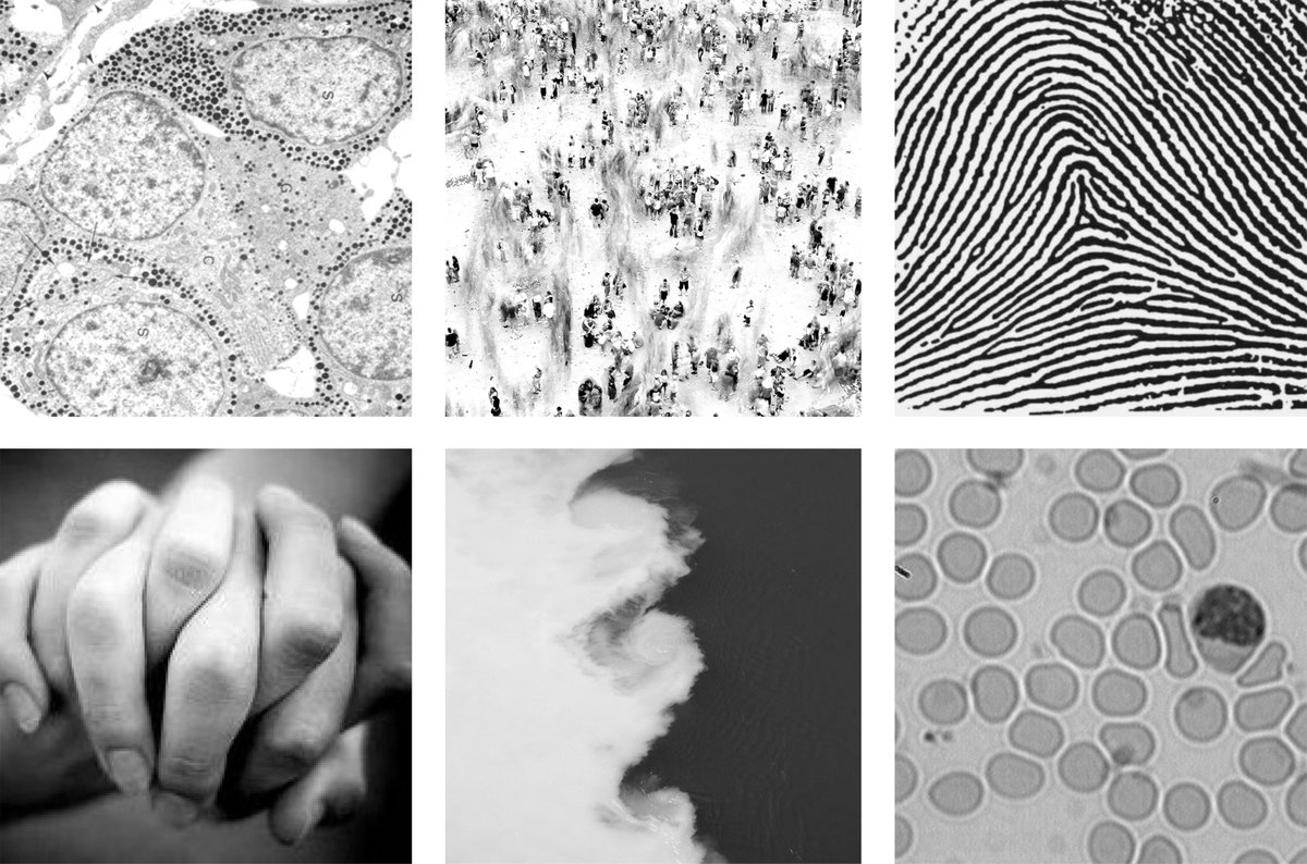 Museum of the Human Body image | Bjarke Ingels Group