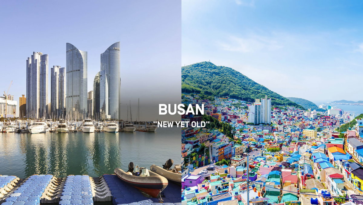 Oceanix Busan image | Bjarke Ingels Group