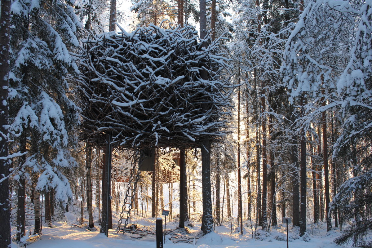 Biosphere gallery image | Bjarke Ingels Group