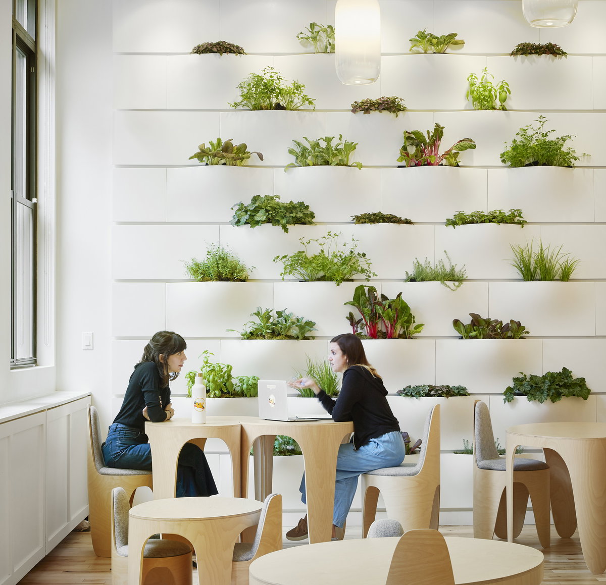 WeGrow NYC image | Bjarke Ingels Group