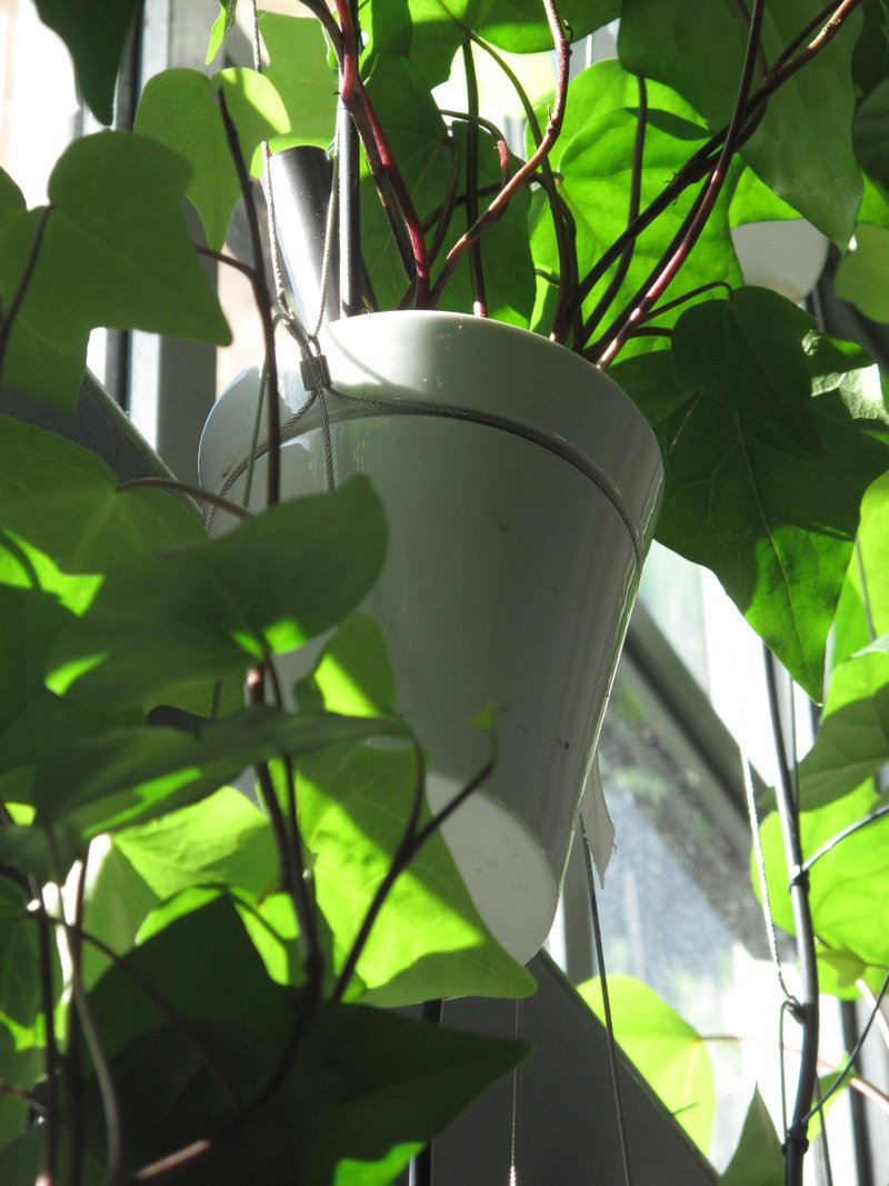 Window Garden image | Bjarke Ingels Group