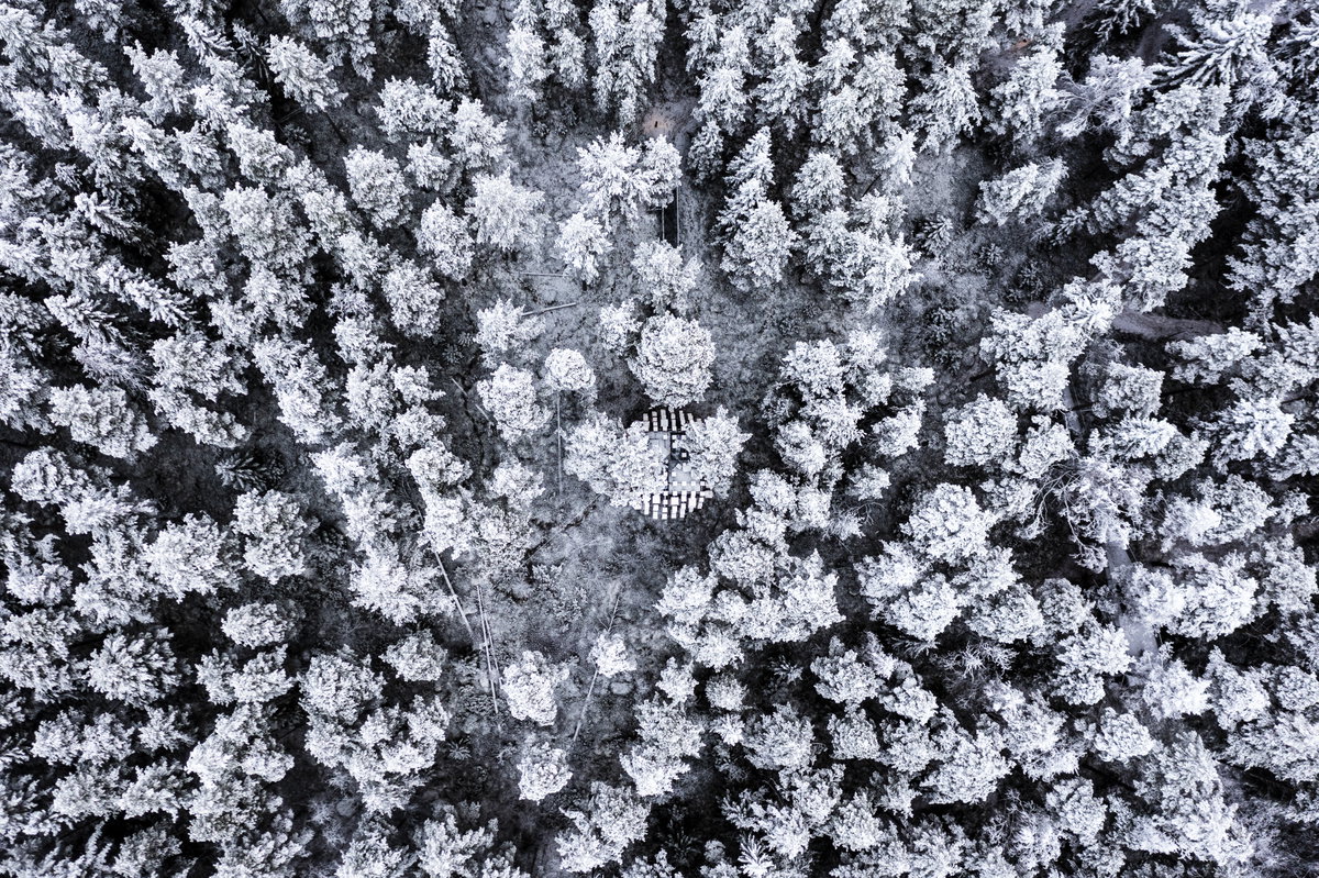 Biosphere gallery image | Bjarke Ingels Group