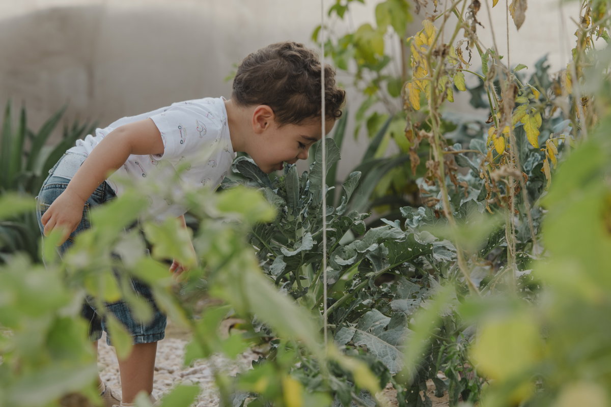 UAE International Horticultural Expo Pavilion gallery image | Bjarke Ingels Group